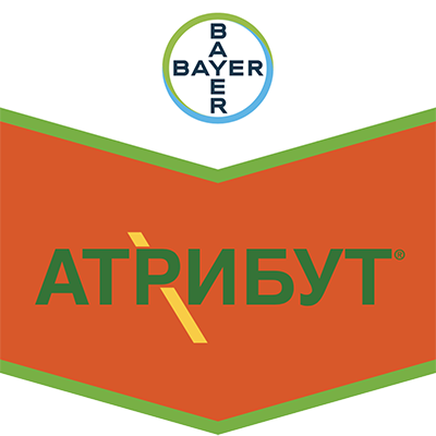 atribut