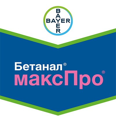 betanal-makhpro