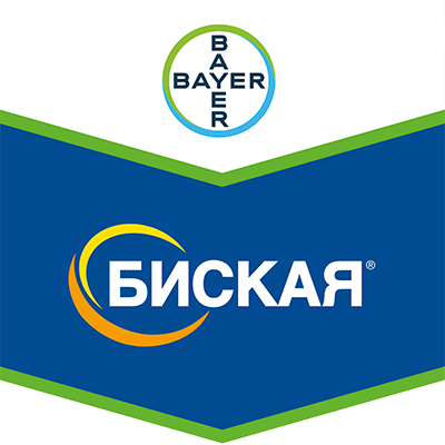 biskajya