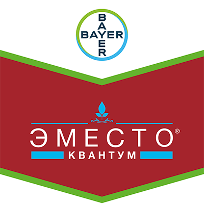 emesto-kvantum
