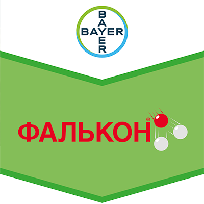 falkon