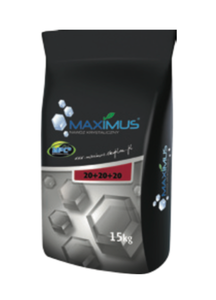 maximus