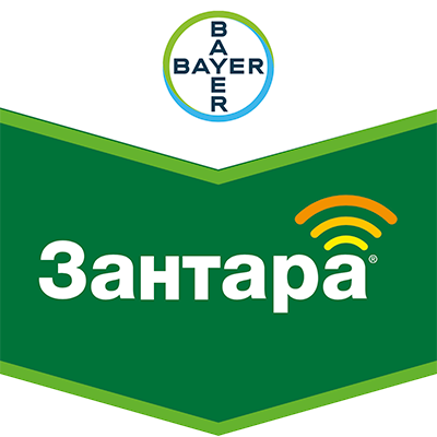 zantara